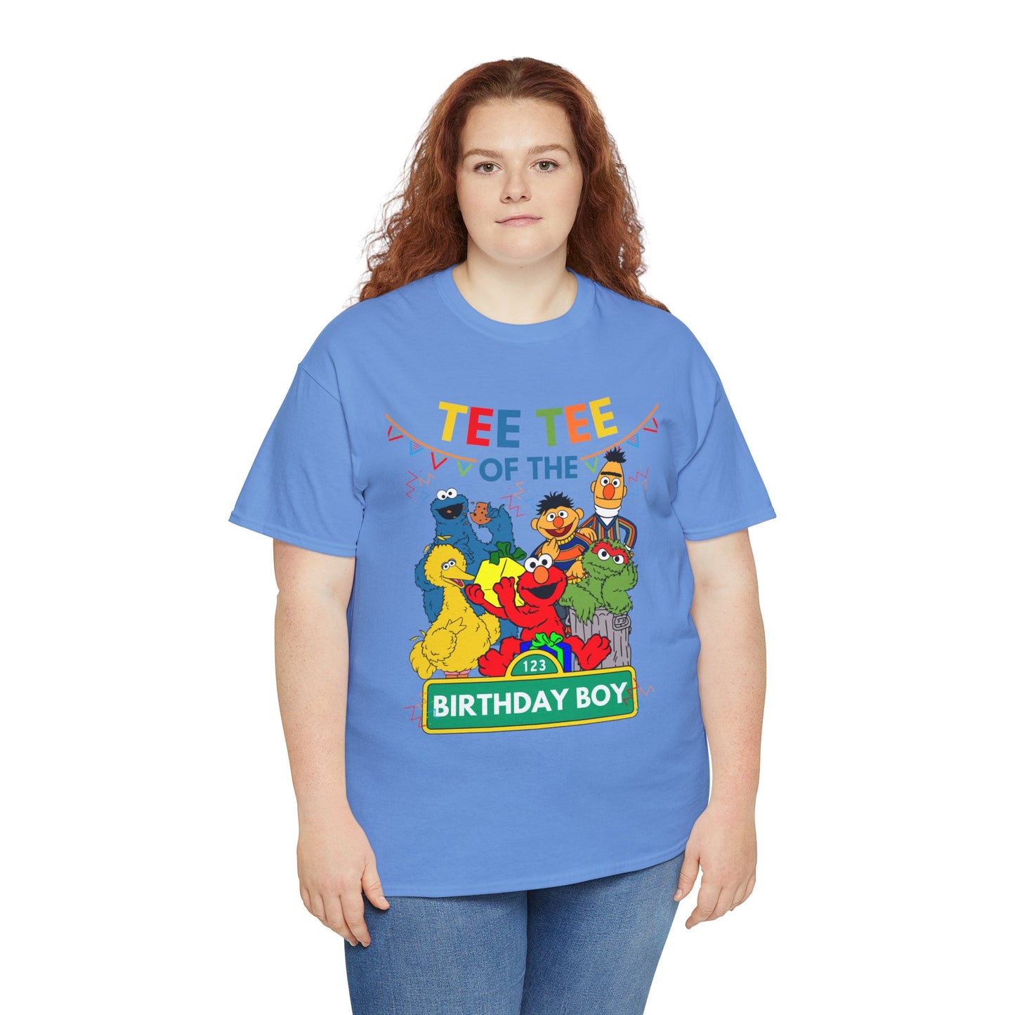 Sesame Street / Elmo / Birthday Boy/ Tee Tee